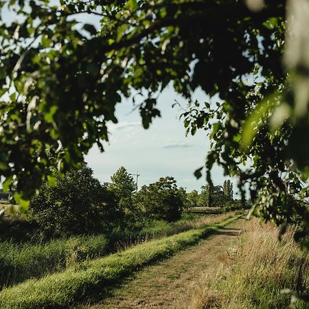 Chalaalets Villa Laa an der Thaya Eksteriør billede